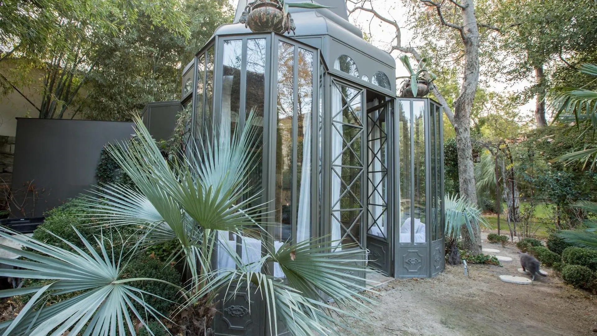 Le Complot : Maison Privee En Plein Coeur D'Avignon Avignon